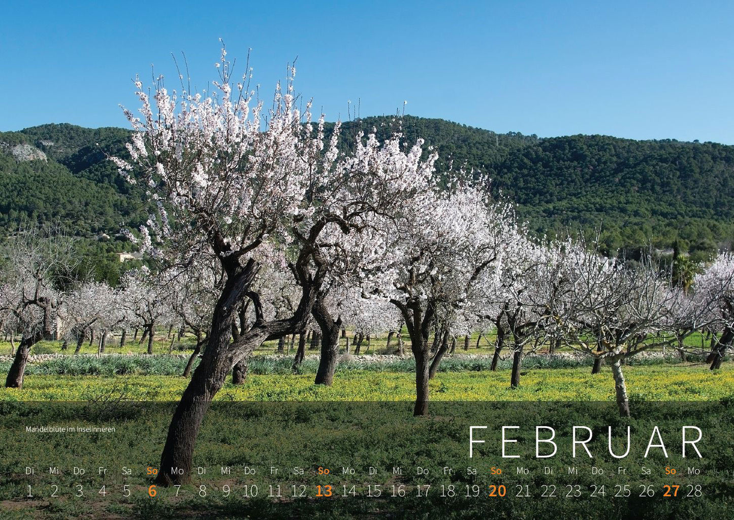 Mallorca Wandkalender 2022 im XXL-Format (DIN A2 / ca. 60 x 42 cm)